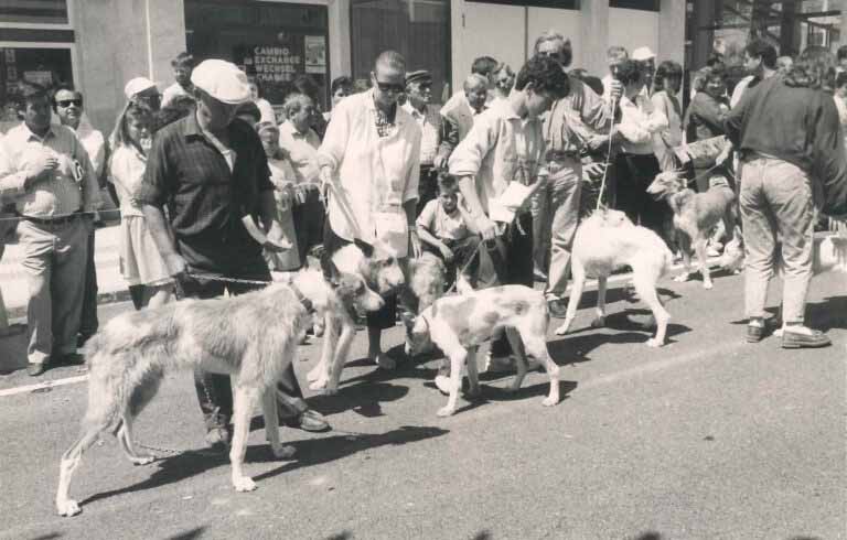 Fiestas de Santa Eulària. Años 80
