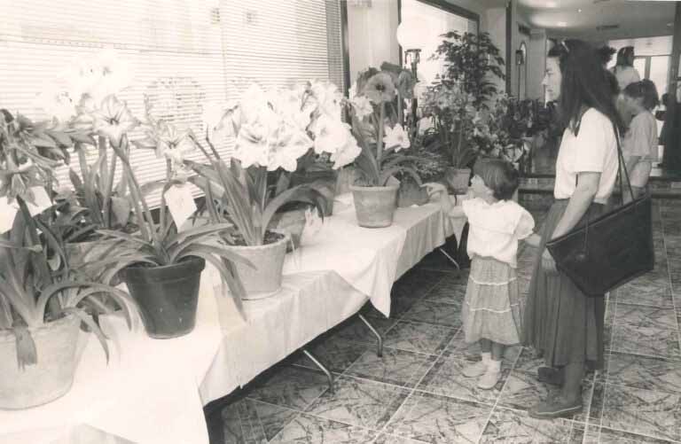 Fiestas de Santa Eulària. Años 80