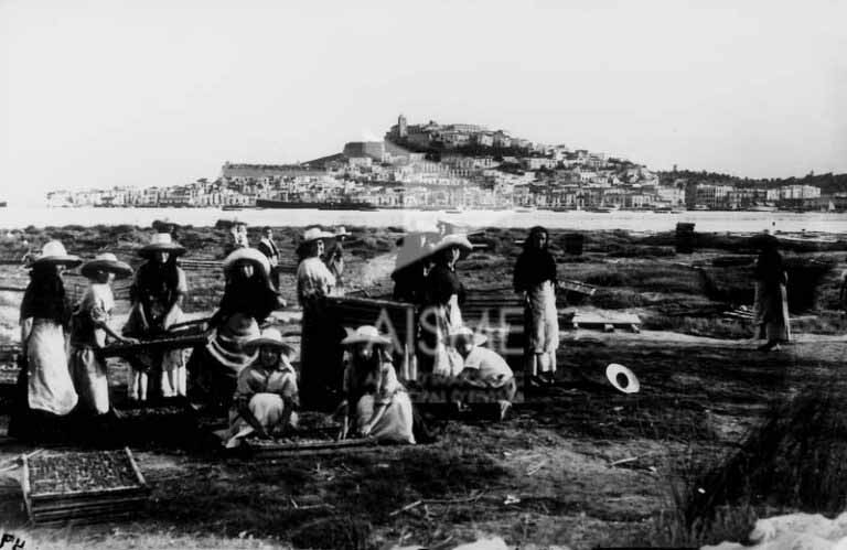 Secando albaricoques. Fotografía de Joan Marí Torres, editada por Domingo Viñets.